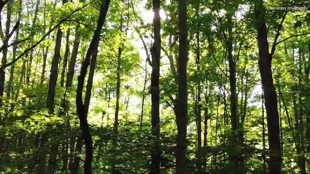 Wealth | Powerful motivational speech by lord Krishna | Krishna Vani | Radhakrishn | Dhananjay priyadarshi