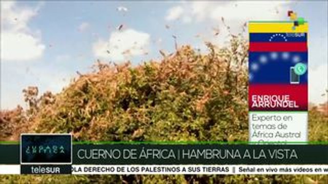 Jugada Crítica: Cuerno de África / Hambruna a la vista