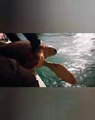 LIBERAZIONE URAGANO - tartaruga marina Manfredonia