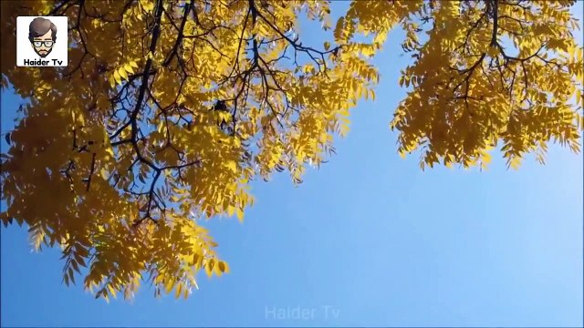 دنیا کے گرم ترین علاقے _ 8 Most Extreme Hot Temperatures Ever Recorded