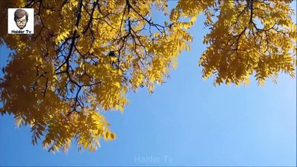 دنیا کے گرم ترین علاقے _ 8 Most Extreme Hot Temperatures Ever Recorded