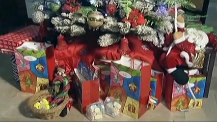 Enzo Pineda, pinasilip ang kanilang bahay at Christmas tree