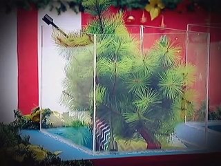 Tanner, masaya na makitang buo ang kanyang pamilya