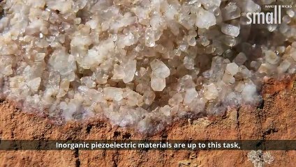 High-Performance Piezoelectric Nanogenerators