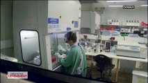 Coronavirus : des scientifiques parviennent à répliquer le virus