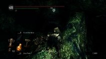 Dark Souls: DoA: 2ième Run [13] La fin du début