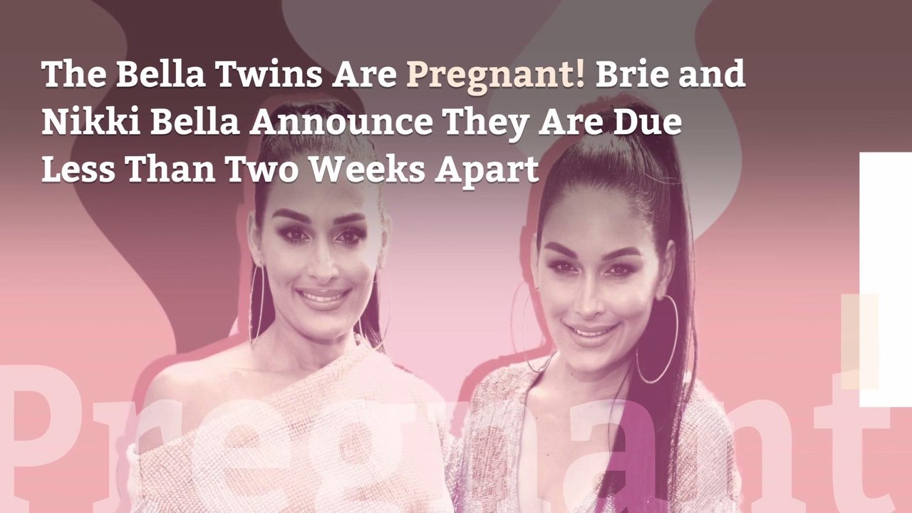 The Bella Twins Are Pregnant! Brie and Nikki Be...