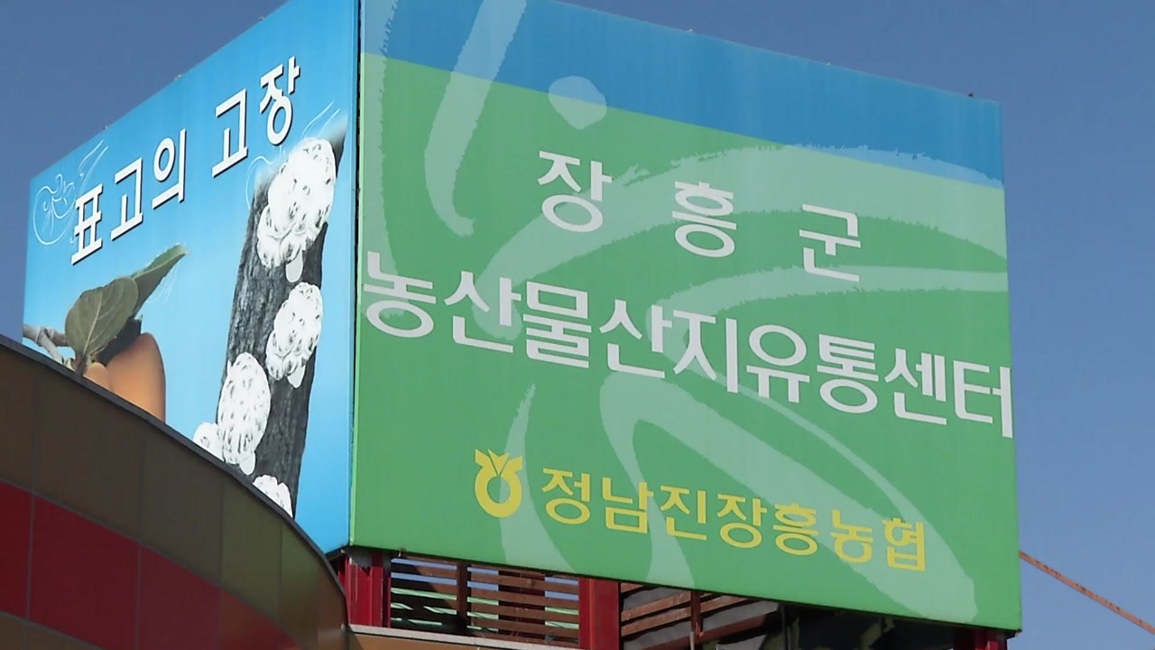 농민은 농사에 전념! 판로는 농협이 개척! / YTN