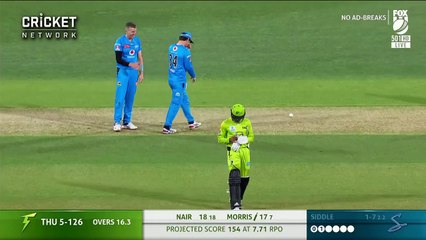 Siddle apologises after freakish dismissal in Adelaide (1)