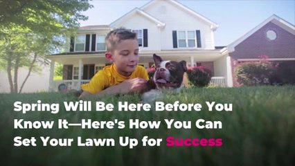 Spring Will Be Here Before You Know It—Here's How You Can Set Your Lawn Up for Success