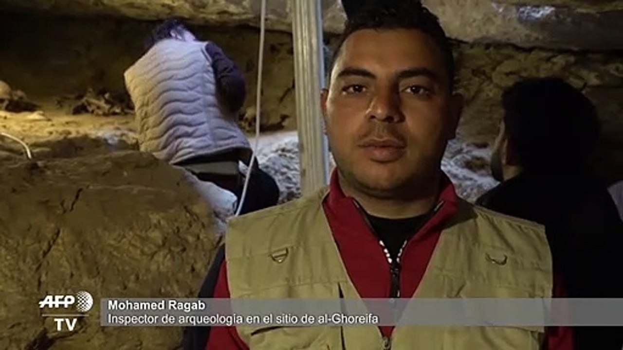 Descubren en Egipto tumbas de sacerdotes de los dioses Thot y Horus