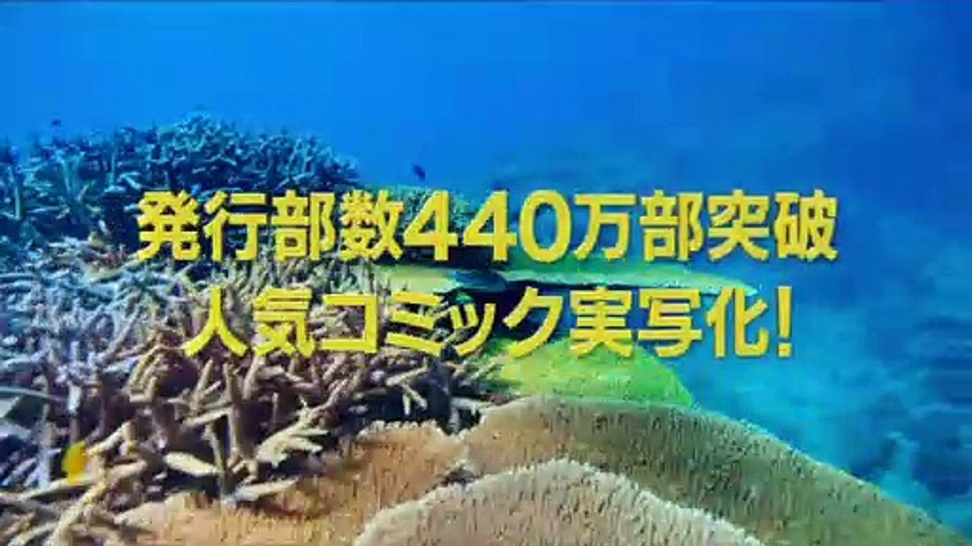 映画 ぐらんぶる 特報 動画 Dailymotion