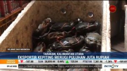 Sektor Usaha Terdampak Wabah Virus Corona
