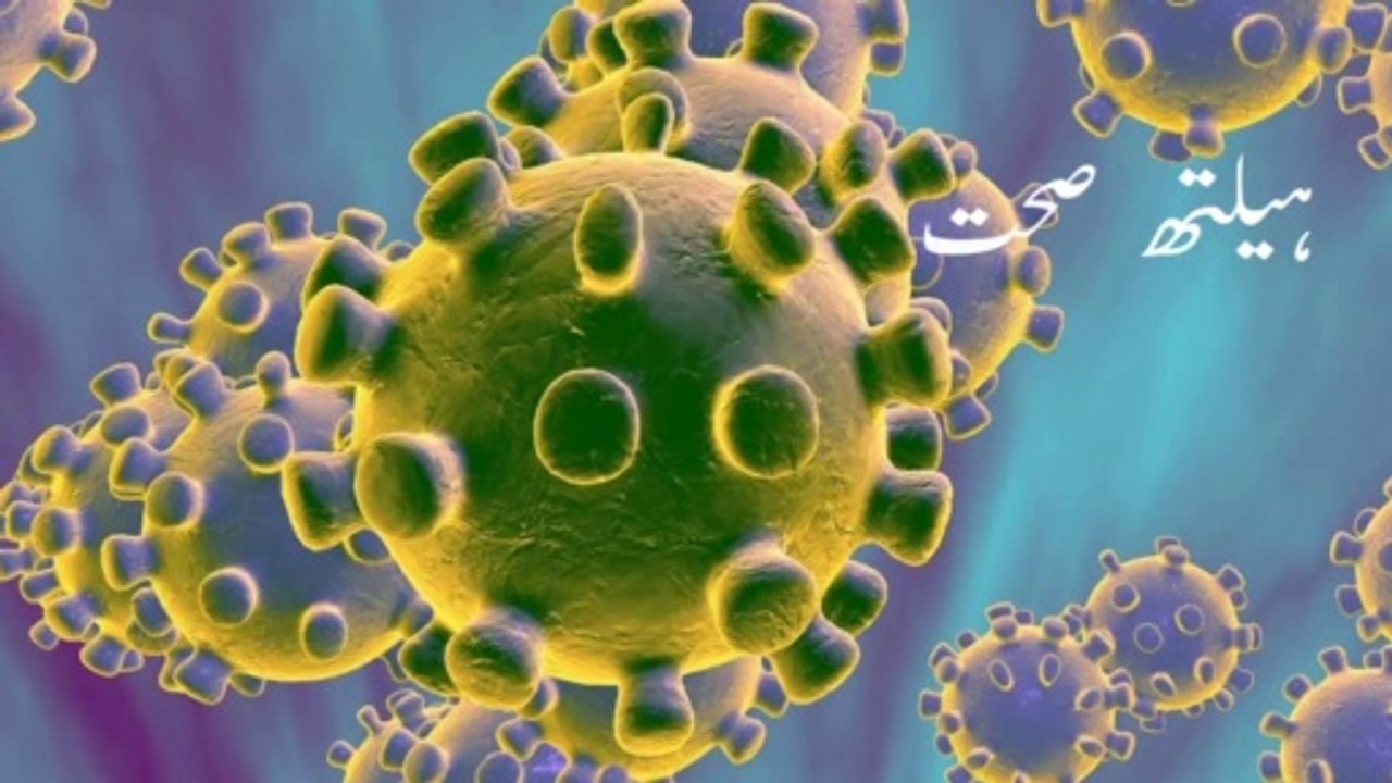 coronavirus diagnosis|coronavirus hku1|coronavirus dogs|coronavirus cats