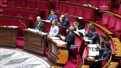 2ème séance : Propositions de lois diverses (suite) - Jeudi 30 janvier 2020