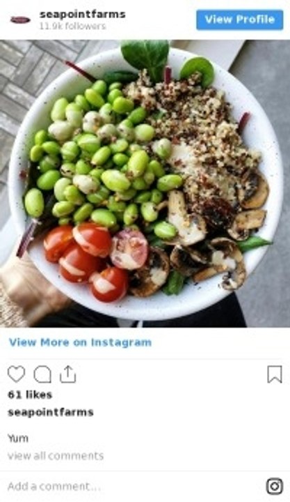 Buddah-Bowls: der neue Foodtrend