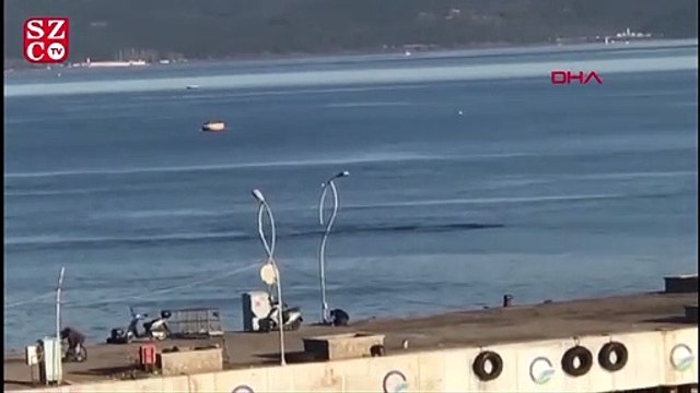 Çanakkale Boğazı'nda yunuslardan görsel şölen