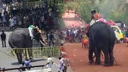 ഇതിലും വലിയ നാശ നഷ്ട്ടം സ്വപ്നങ്ങളിൽ മാത്ര൦