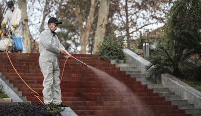 Coronavirus : l'OMS déclare l'urgence internationale