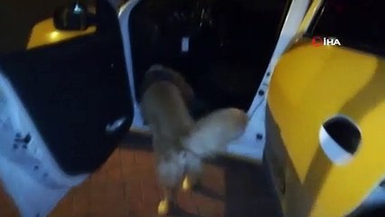 Mersin'de bir otomobilde 400 adet uyuşturucu hap ele geçirildi