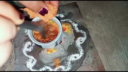 Village style Mini chicken rice