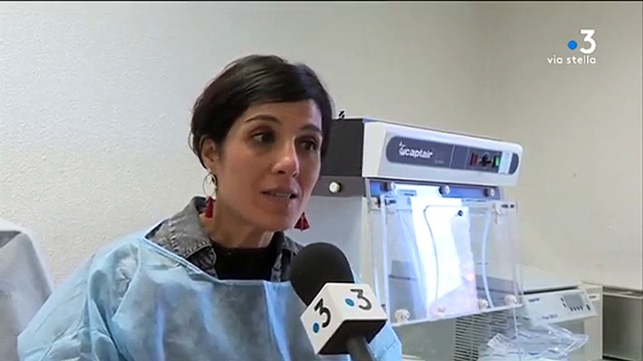 Coronavirus _ quelle prévention en Corse _