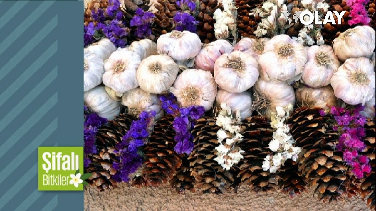 Sarımsağın faydaları saymakla bitmiyor