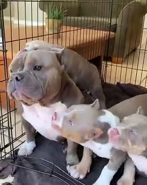 Annoying children  #Love_Life_Animals