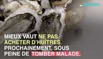 Gastro-entérite : des huitres contaminées par le virus retirées des rayons