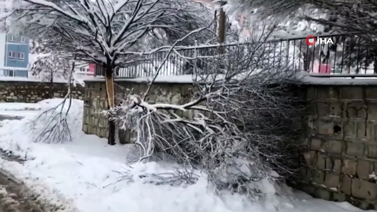 Yoğun Kar Çok Sayıda Ağacın Kırılmasına Neden Oldu