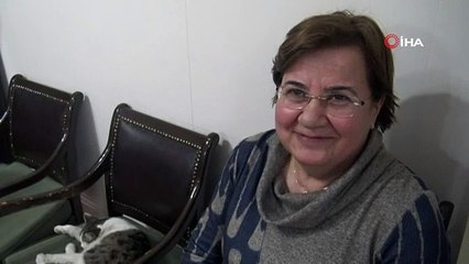 SOKAK KEDİSİ KIŞI TOKAT VALİLİĞİNDE GEÇİRİYOR