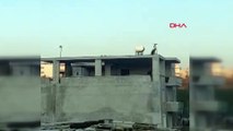 Mersin'de Uçan torbacı: 5’inci kattan yandaki 4 katlı binaya atladı