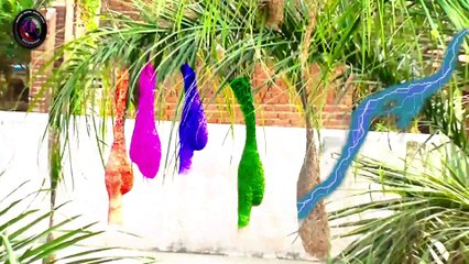 Super Girl Changing Bird Nest Color