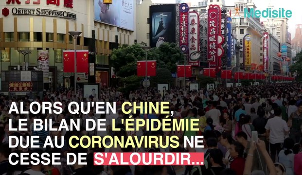 Coronavirus : peut-il tuer nos compagnons à quatre pattes ?