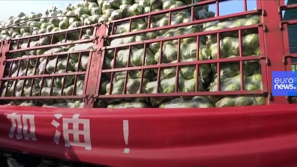 شهر بحران زده ووهان؛ انتشار ویدئو از مردی که در خیابان درگذشت