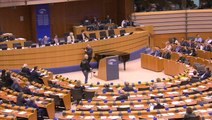 Brexit Party MEPs told off as they wave Union Flags in EU Parliament