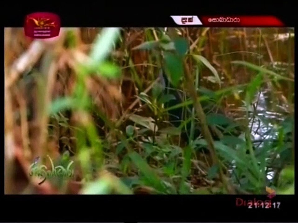 Sobadhara 31-01-2020