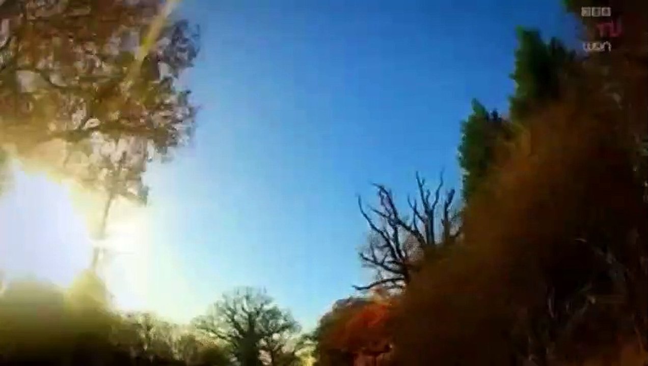 Barely Legal Drivers S02 - Ep04 Jessie & Jamie - Part 01 HD Watch