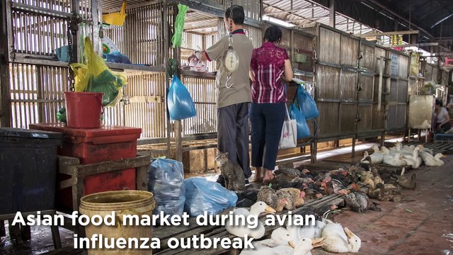 FUN-MOOC : Emerging and re-emerging viruses