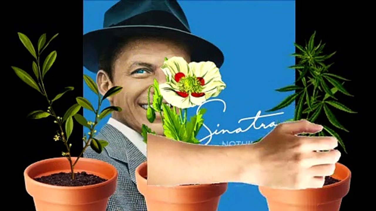 YTP: Frarf Sinestro didn't RTFM