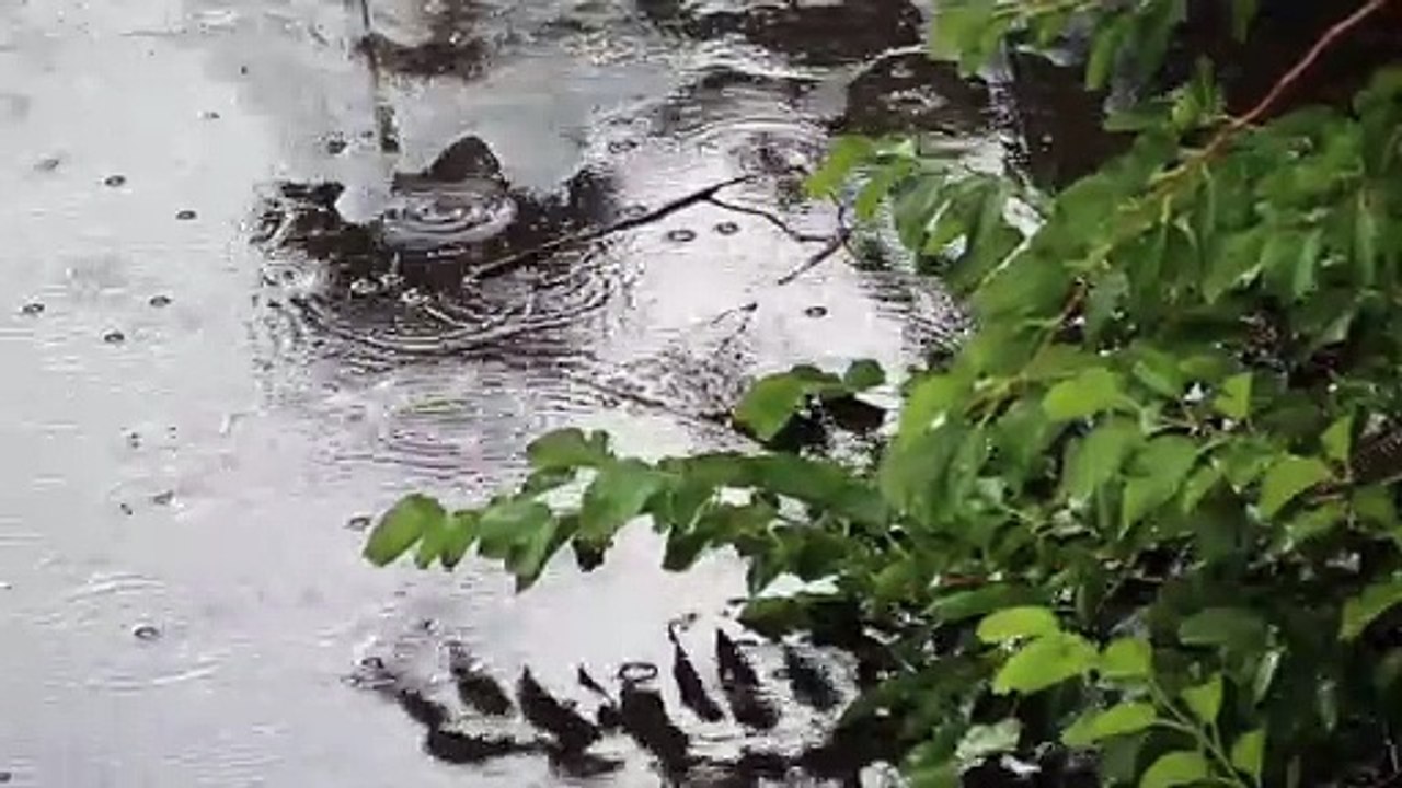 Raining