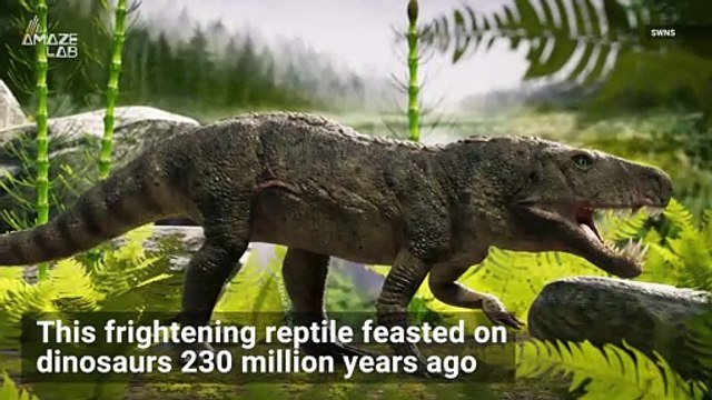 ‘Bone-Crushing’ Reptile Unearthed that was the ‘T. Rex of its Time’