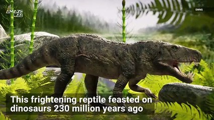 ‘Bone-Crushing’ Reptile Unearthed that was the ‘T. Rex of its Time’