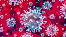 ¿Qué países han confirmado casos de coronavirus?