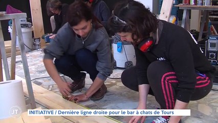 INITIATIVE Dernière ligne droite pour le bar à chats de Tours