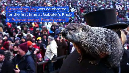 This Day in History: First Groundhog Day (Sunday, February 2nd)