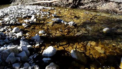 le chant du ruisseau test micro