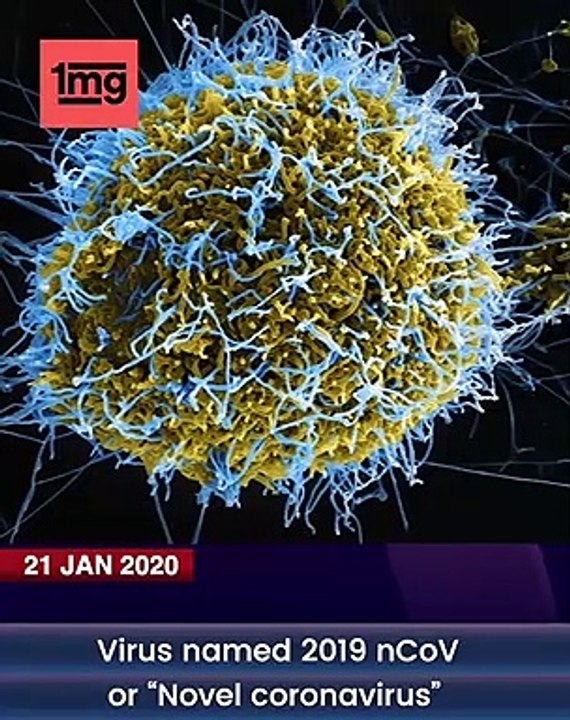 कोरोना_वायरस_क्या_है_?_||_WHAT_IS_CORONAVIRUS_IN_HINDI_II_Latest_Health_News_||ALLVIDEO24