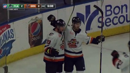 Game Recap - Florida Everblades at Greenville Swamp Rabbits