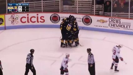 Norfolk Admirals 8, South Carolina Stingrays 6